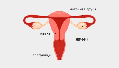 Женский-ПС