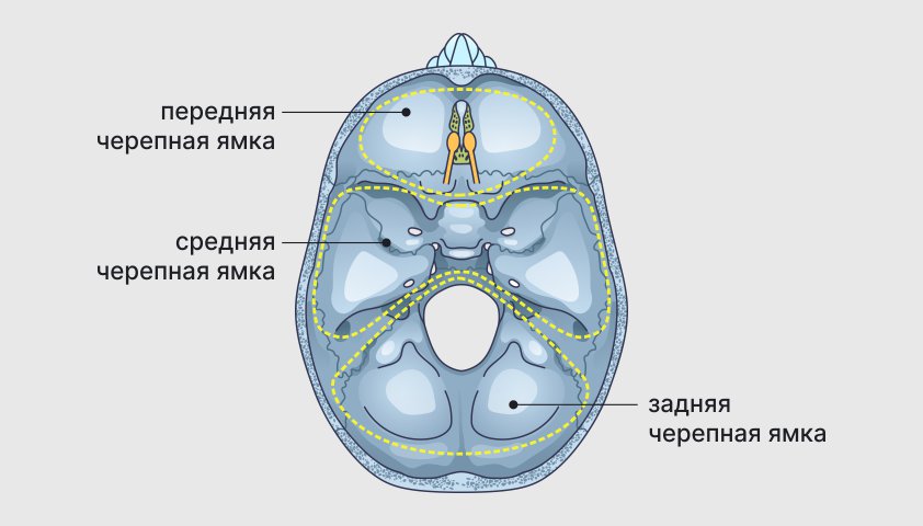 Перелом черепа - перелом костей черепа у взрослых и детей